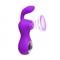 Clitoral Stimulator with 2 motors Silicone Rechargeable 12 Speeds PURPLE